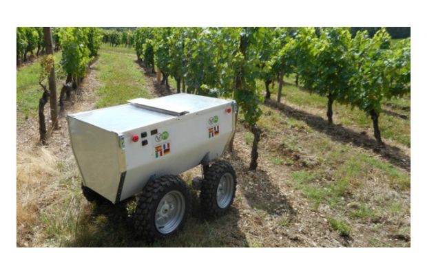 VineRobot будет следить за виноградниками