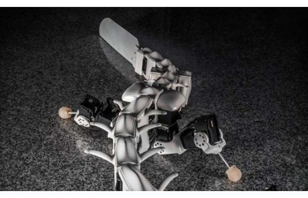 Plueurobot открывает новые возможности для изучения саламандр (+ видео)