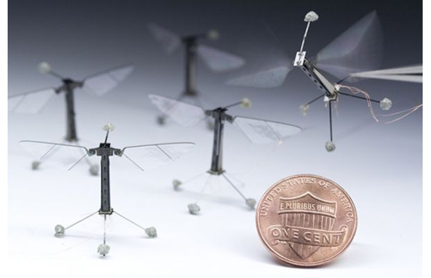 Лазерные дальномеры будут полезны для роботов RoboBee и робокаров
