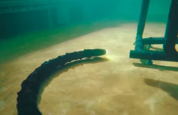 Ползающий змеевидный робот выполняет работы на морском дне (+ видео)
