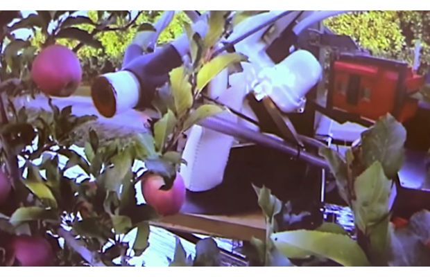Abundant Robotics создает робота для сбора яблок (+ видео)