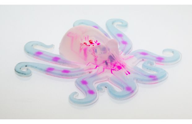 Octobot – действительно полностью мягкий автономный робот (+ видео)