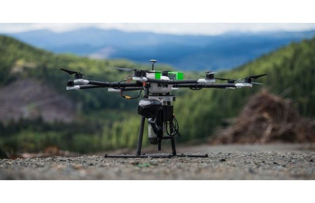 Сажающие деревья дроны ускорят работы по восстановлению лесов