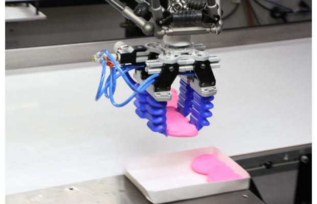 Морская фауна как прообраз промышленных захватов Soft Robotics (+видео)