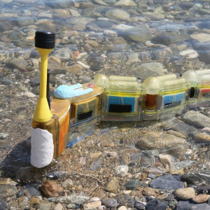 Роботизированный угорь ищет источники загрязнения воды