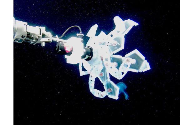 Подводный аппарат исследует обитателей морских глубин (+видео)