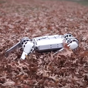 Сальто в исполнении Mini Cheetah (+видео)