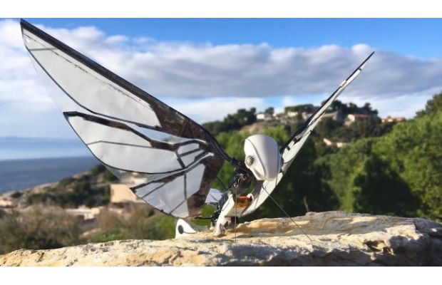 MetaFly – летающий робот в виде насекомого (+видео)