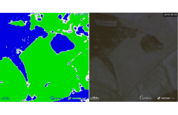 Искусственный интеллект определит границы лесов по космическим фотографиям