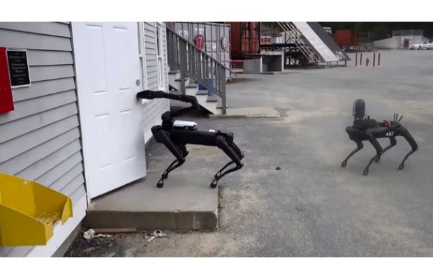 Полиция штата Массачусетс испытывает собакоподобного робота Spot от Boston Dynamics