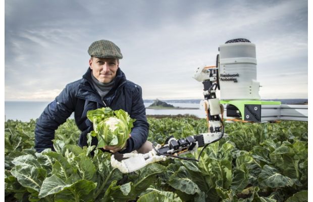 Fieldwork Robotics и Bonduelle Group создадут робота для сбора цветной капусты