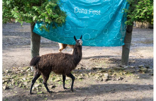 В этом году Data Fest проходил в очень интересном месте