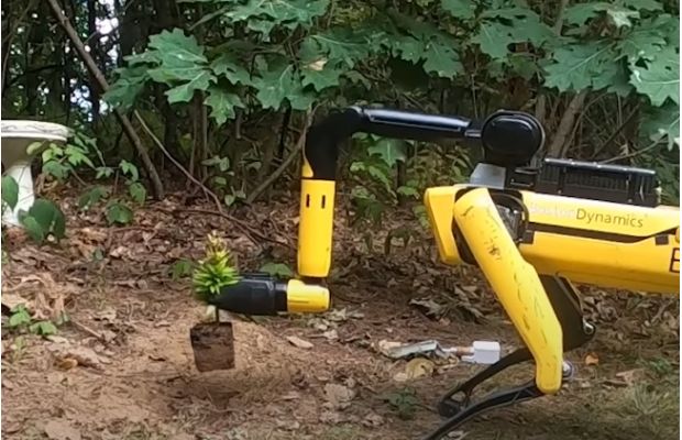 Boston Dynamics демонстрирует робособаку Spot в качестве помощника по хозяйству