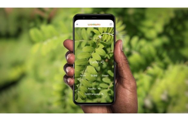 Google представляет приложение Woolaroo AI для сохранения исчезающих языков