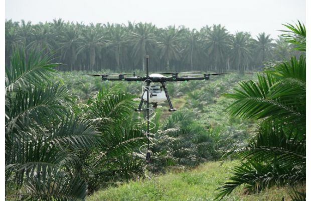 Малайзийская компания Poladrone привлекает $4,29 млн для защиты с/х культур