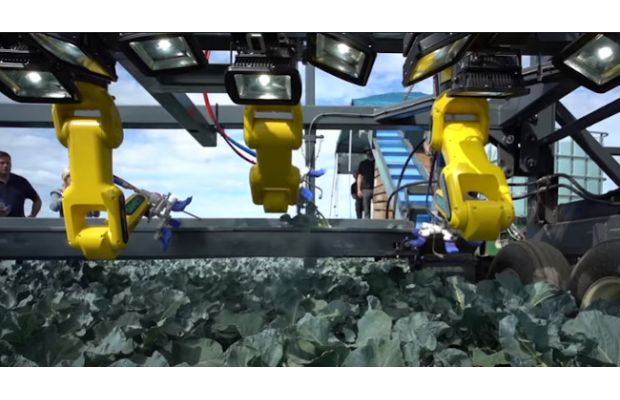 Lapalme Mechanical Design планирует коммерциализировать робота, собирающего брокколи