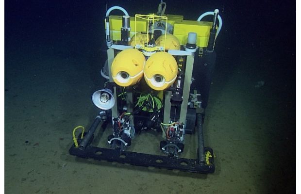 Benthic Rover II в течении года собирает ценные глубоководные данные  