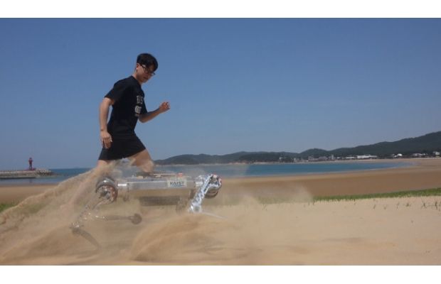 В KAIST обучили робота RaiBo перемещаться по песчаному пляжу со скоростью 3 м/с