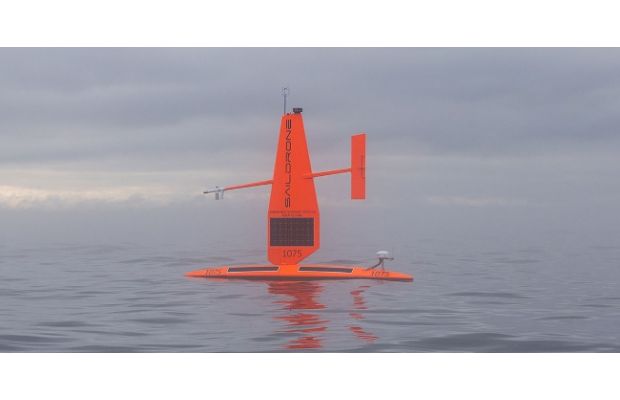 Saildrone и RPS используют интеллектуальные инструменты для мониторинга морских млекопитающих