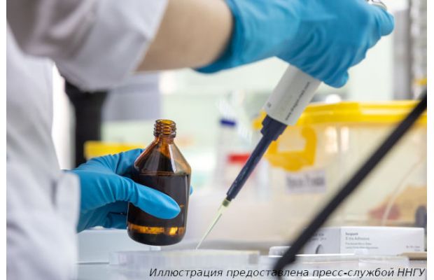 Систему искусственного интеллекта для диагностики типа опухоли мозга разработали в Университете Лобачевского